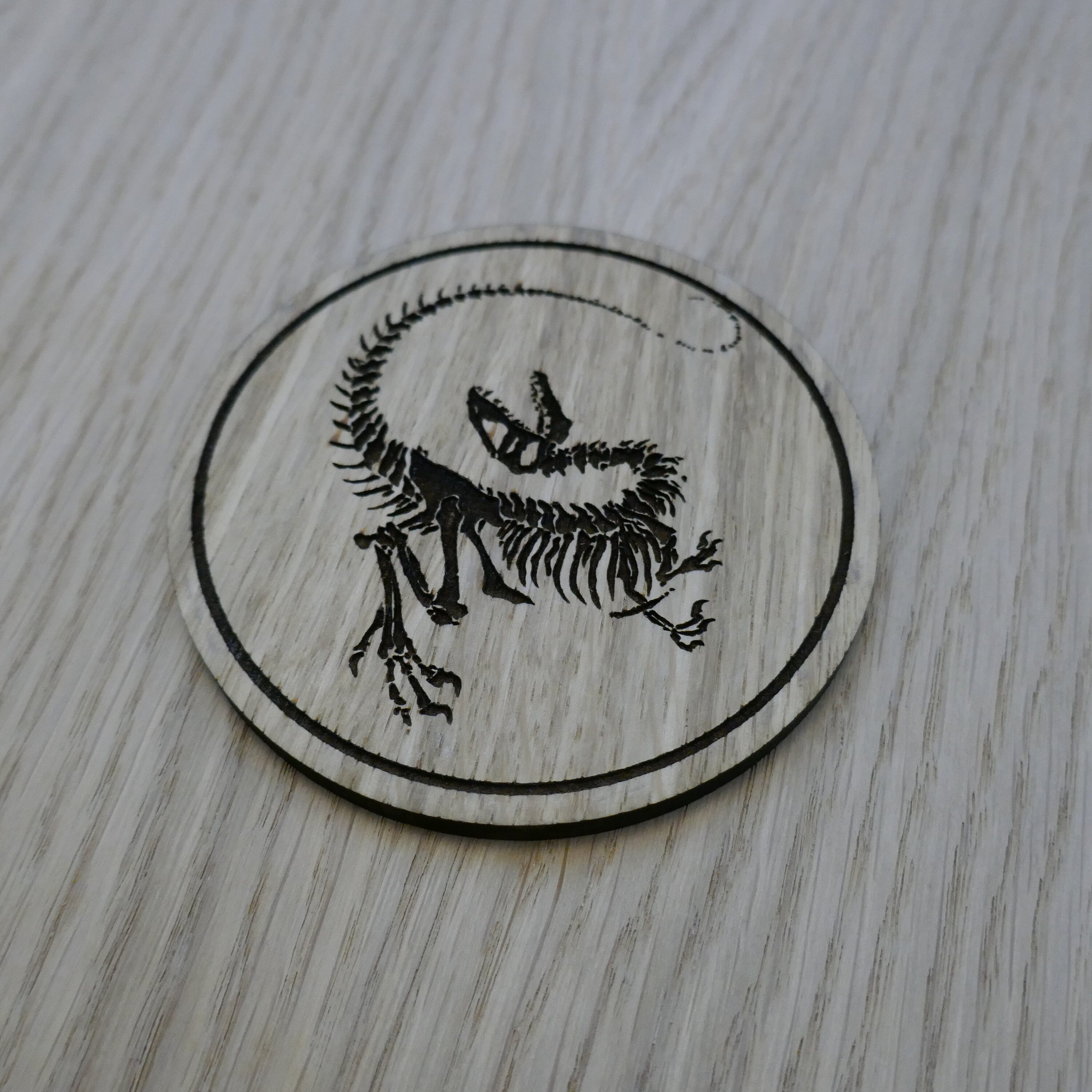 Laser cut wooden coaster personalised. Raptor Dinosaur Skeleton Fossil